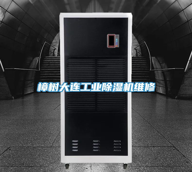 樟樹大連工業91看片网站維修