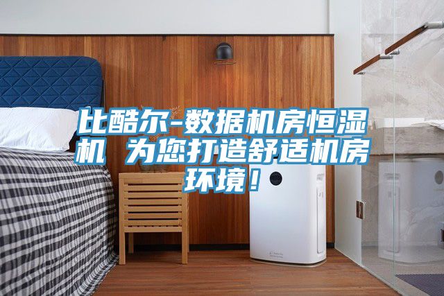 比酷爾-數據機房恒濕機 為您打造舒適機房環境！