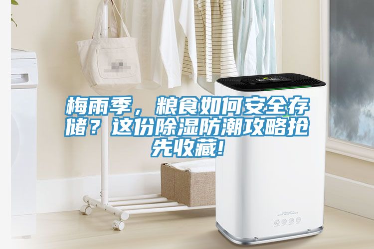 梅雨季，糧食如何安全存儲？這份除濕防潮攻略搶先收藏!