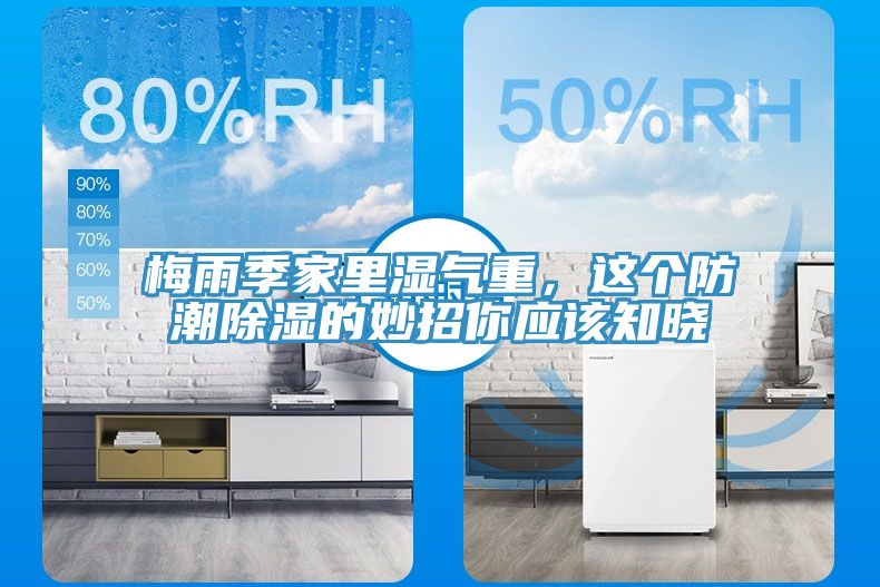 梅雨季家裏濕氣重，這個防潮除濕的妙招你應該知曉