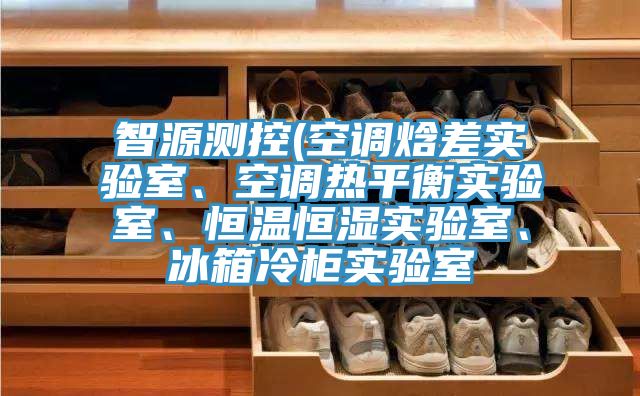 智源測控(空調焓差實驗室、空調熱平衡實驗室、恒溫恒濕實驗室、冰箱冷櫃實驗室