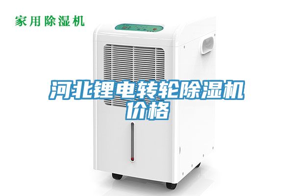 河北鋰電轉輪91看片网站價格