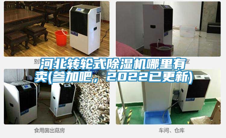 河北轉輪式91看片网站哪裏有賣(參加吧，2022已更新)