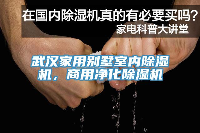 武漢家用別墅室內91看片网站，商用淨化91看片网站