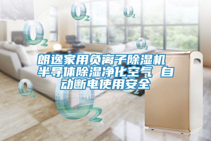 朗逸家用負離子91看片网站 半導體除濕淨化空氣 自動斷電使用安全