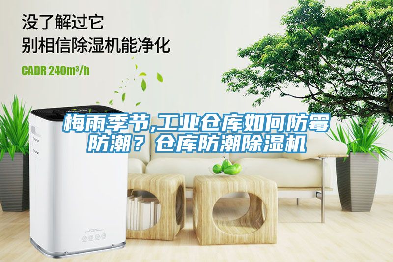 梅雨季節,工業倉庫如何防黴防潮？倉庫防潮91看片网站