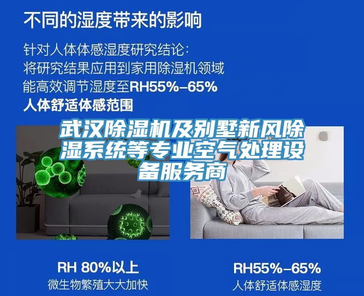 武漢91看片网站及別墅新風除濕係統等專業空氣處理設備服務商