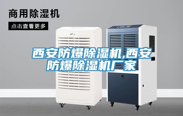 西安防爆91看片网站,西安防爆91看片网站廠家