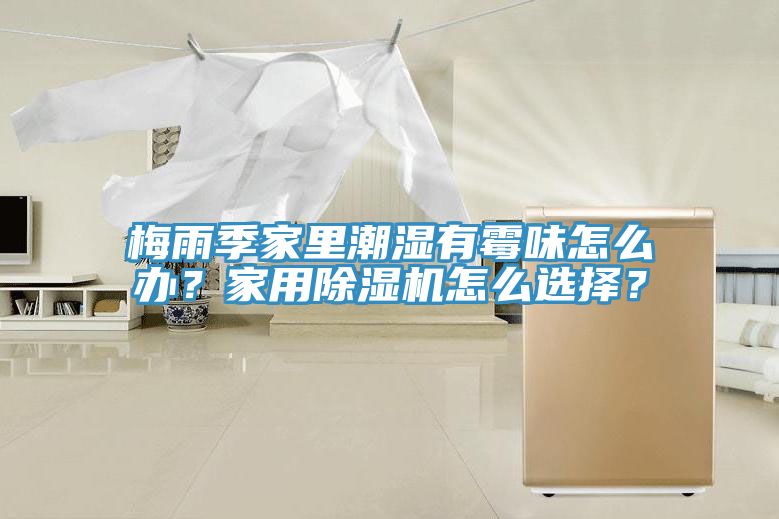 梅雨季家裏潮濕有黴味怎麽辦？家用91看片网站怎麽選擇？