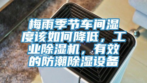 梅雨季節車間濕度該如何降低，工業91看片网站，有效的防潮除濕設備