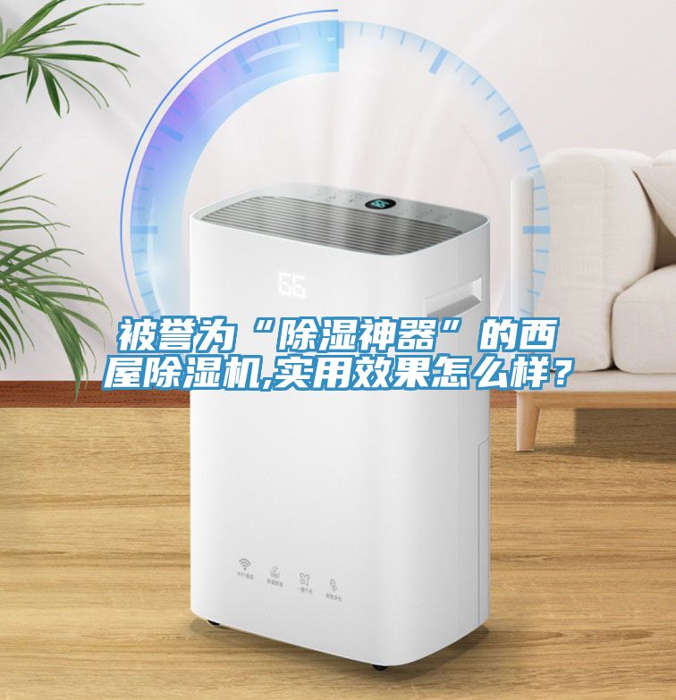 被譽為“除濕神器”的西屋91看片网站,實用效果怎麽樣？