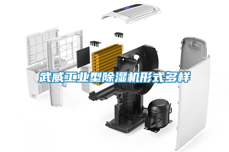武威工業型91看片网站形式多樣