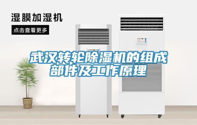 武漢轉輪91看片网站的組成部件及工作原理