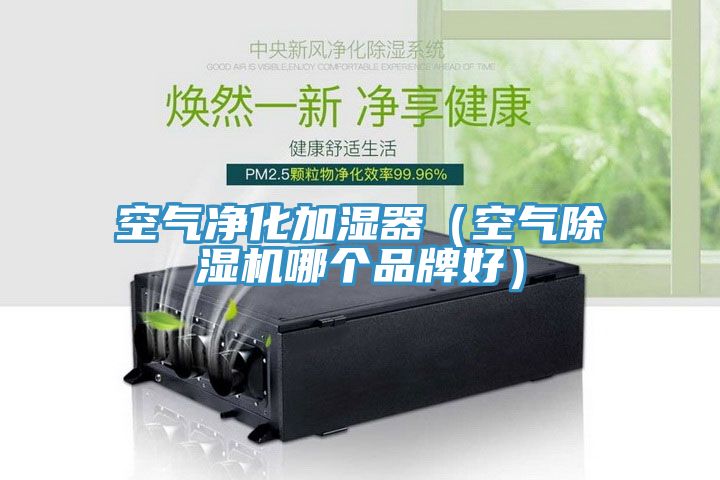 空氣淨化加濕器（空氣91看片网站哪個品牌好）