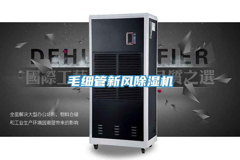 毛細管新風91看片网站