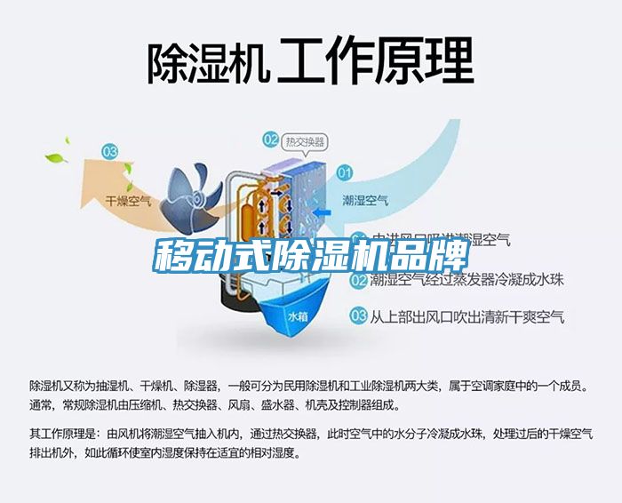 移動式91看片网站品牌