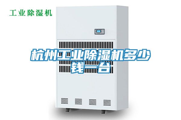 杭州工業91看片网站多少錢一台