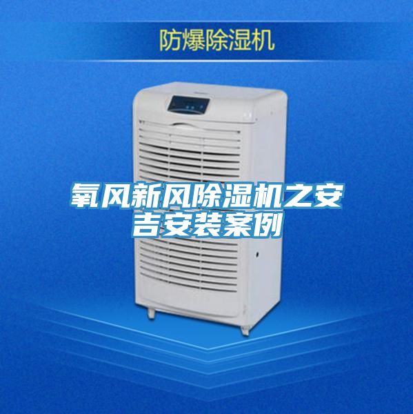 氧風新風91看片网站之安吉安裝案例