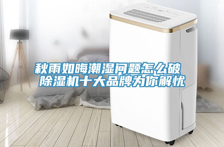 秋雨如晦潮濕問題怎麽破 91看片网站十大品牌為你解憂