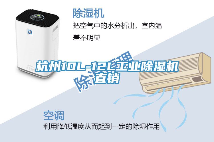杭州10L-12L工業91看片网站直銷