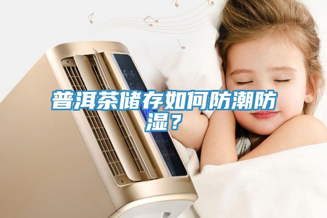 普洱茶儲存如何防潮防濕？