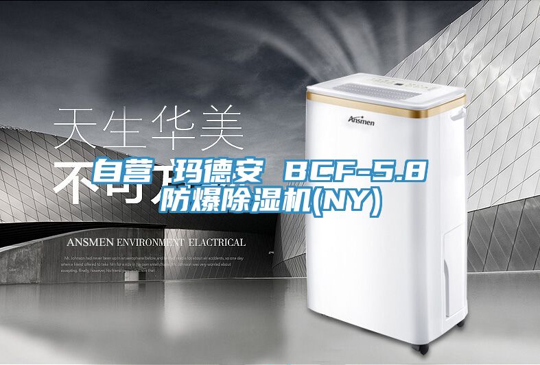 自營 瑪德安 BCF-5.8 防爆91看片网站(NY)