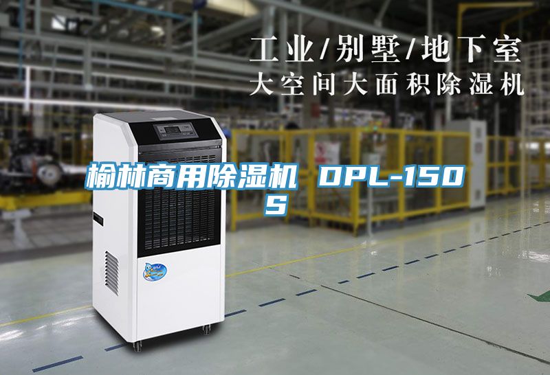 榆林商用91看片网站 DPL-150S