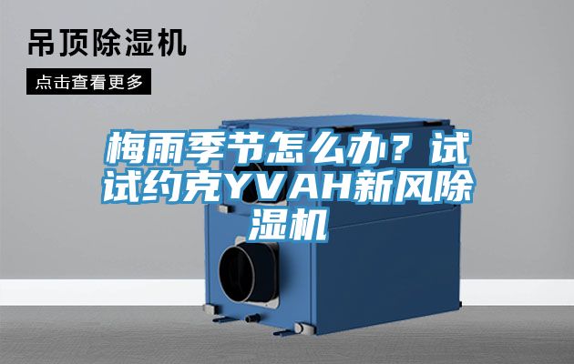 梅雨季節怎麽辦？試試約克YVAH新風91看片网站