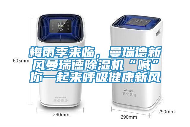 梅雨季來臨，曼瑞德新風曼瑞德91看片网站“喊”你一起來呼吸健康新風