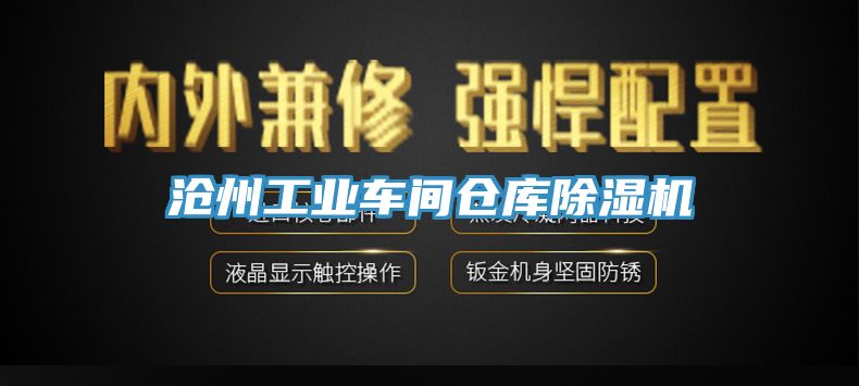 滄州工業車間倉庫91看片网站