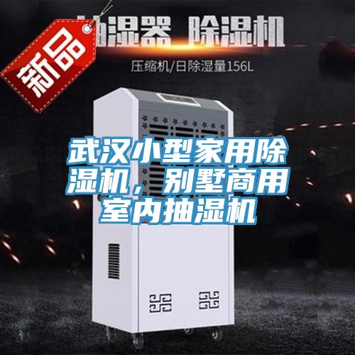 武漢小型家用91看片网站，別墅商用室內抽濕機