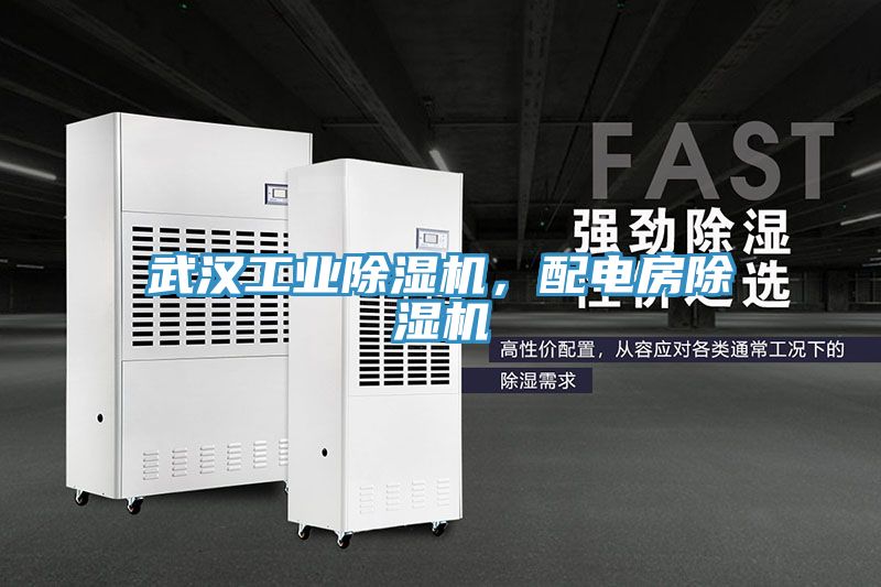 武漢工業91看片网站，配電房91看片网站