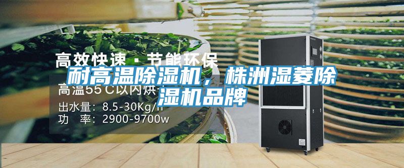 耐高溫91看片网站，株洲濕菱91看片网站品牌