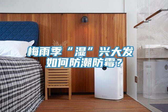 梅雨季“濕”興大發 如何防潮防黴？