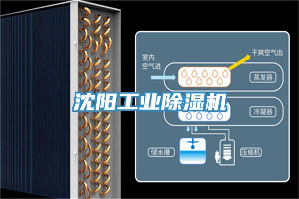 沈陽工業91看片网站