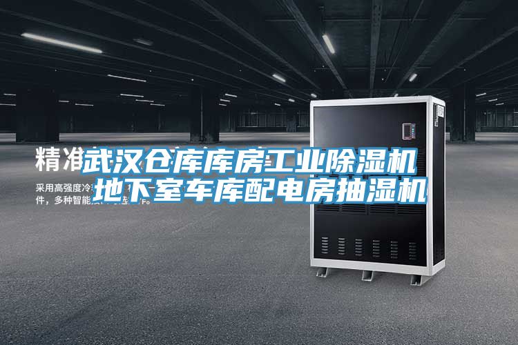 武漢倉庫庫房工業91看片网站 地下室車庫配電房抽濕機