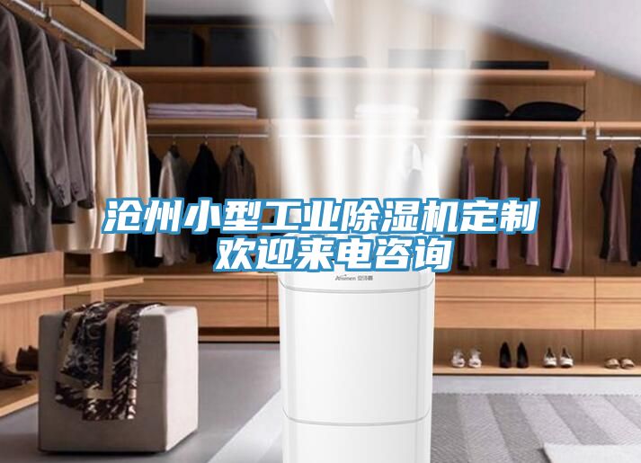 滄州小型工業91看片网站定製 歡迎來電谘詢
