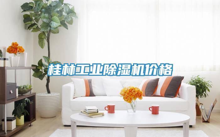桂林工業91看片网站價格