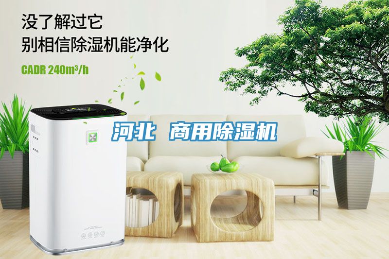 河北 商用91看片网站