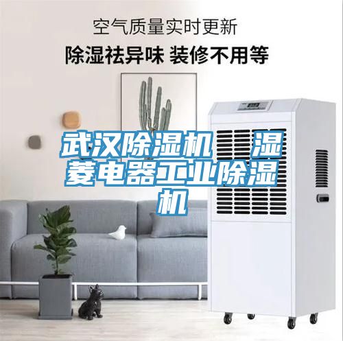 武漢91看片网站  濕菱電器工業91看片网站