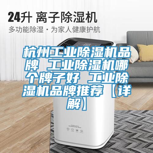 杭州工業91看片网站品牌 工業91看片网站哪個牌子好 工業91看片网站品牌推薦【詳解】