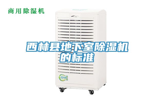 西林縣地下室91看片网站的標準