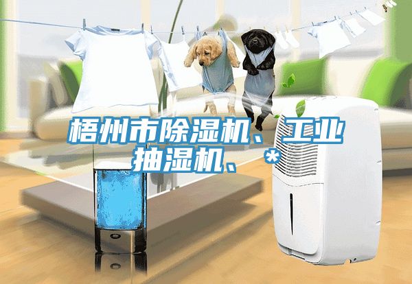 梧州市91看片网站、工業抽濕機、＊