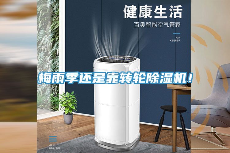 梅雨季還是靠轉輪91看片网站！