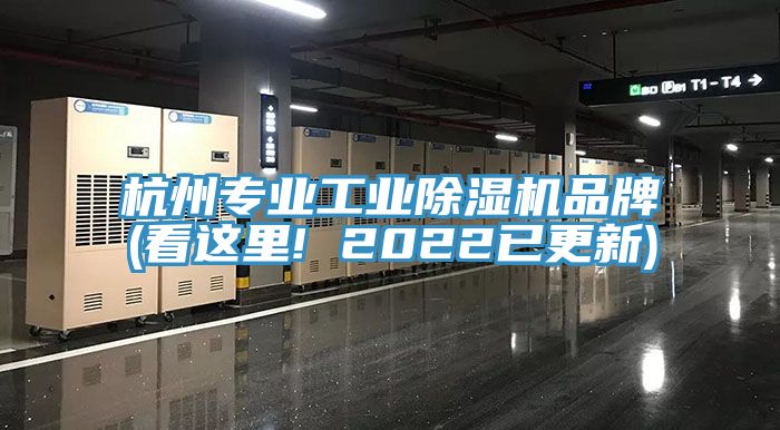 杭州專業工業91看片网站品牌(看這裏! 2022已更新)
