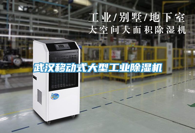 武漢移動式大型工業91看片网站