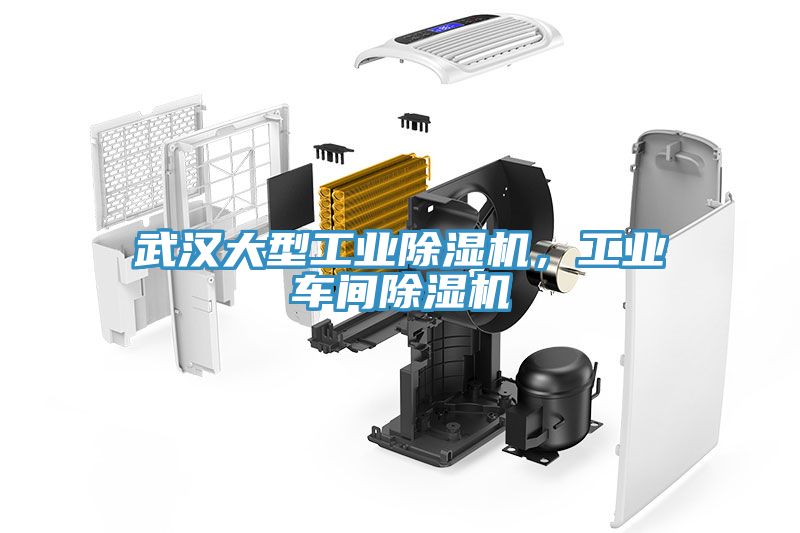 武漢大型工業91看片网站，工業車間91看片网站