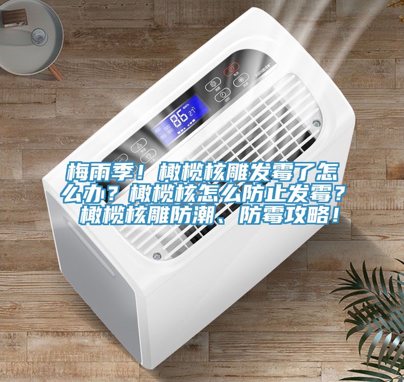 梅雨季！橄欖核雕發黴了怎麽辦？橄欖核怎麽防止發黴？ 橄欖核雕防潮、防黴攻略！