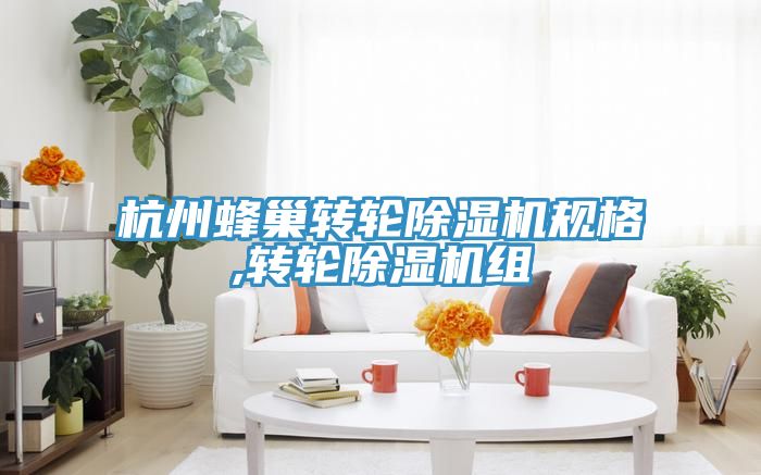 杭州蜂巢轉輪91看片网站規格,轉輪91看片网站組