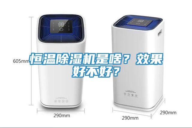 恒溫91看片网站是啥？效果好不好？